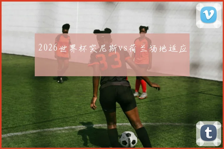 2026世界杯突尼斯vs荷兰场地适应