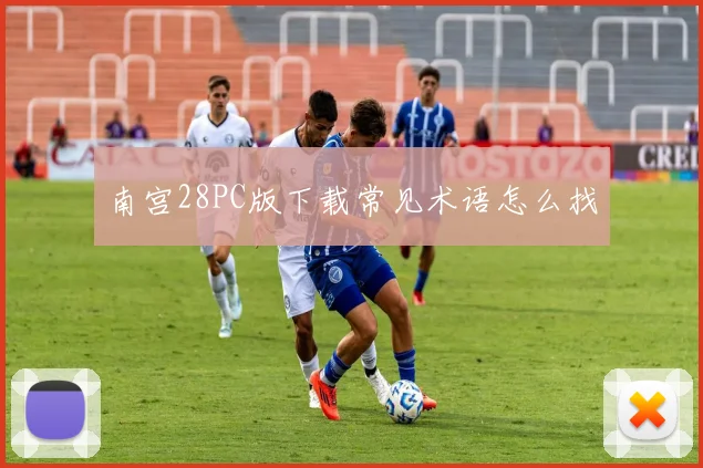 南宫28PC版下载常见术语怎么找