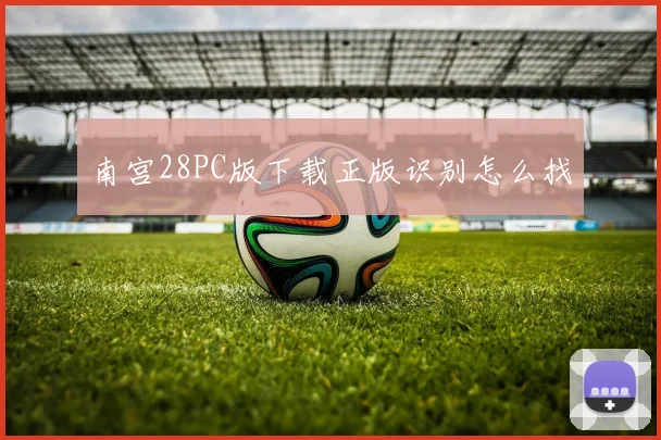 南宫28PC版下载正版识别怎么找