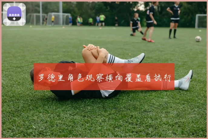 罗德里角色观察横向覆盖看执行