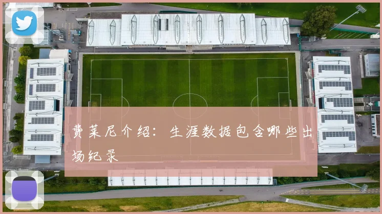 费莱尼介绍：生涯数据包含哪些出场纪录